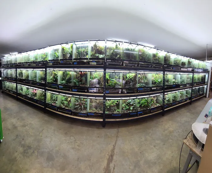 FROGDADDY LLC Picture 9