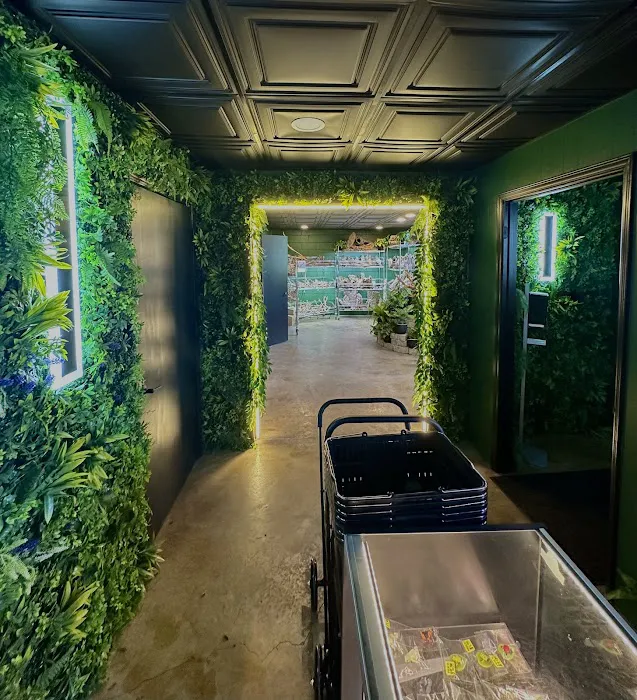 FROGDADDY LLC Picture 7