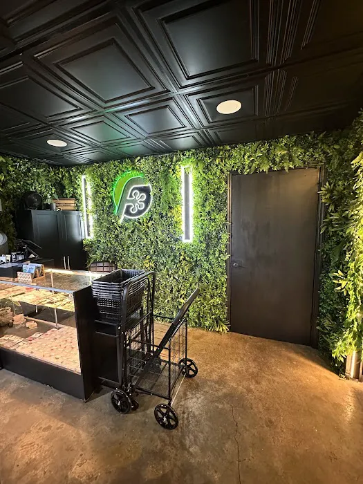 FROGDADDY LLC Picture 8