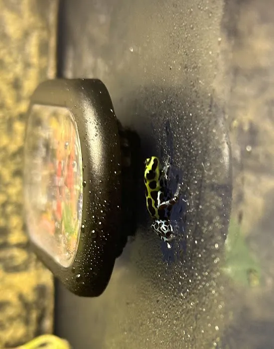 FROGDADDY LLC Picture 3