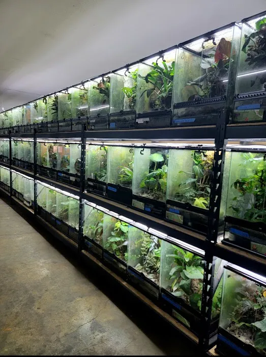 FROGDADDY LLC Picture 4