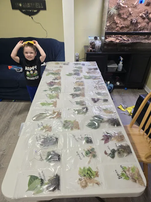 FROGDADDY LLC Picture 1