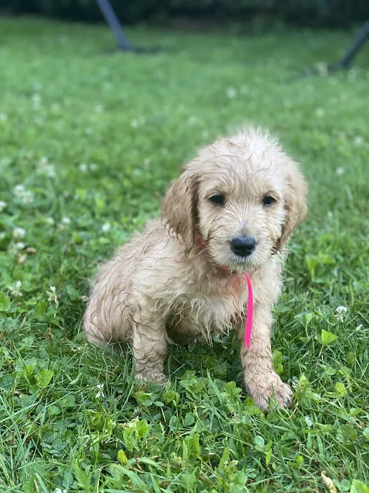 Fairfield Veterinary Hospital Picture 6