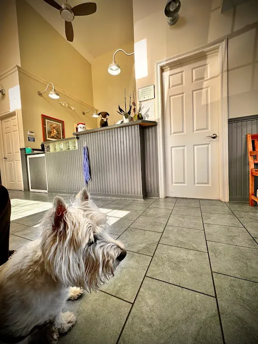 Fairfield Veterinary Hospital Picture 7