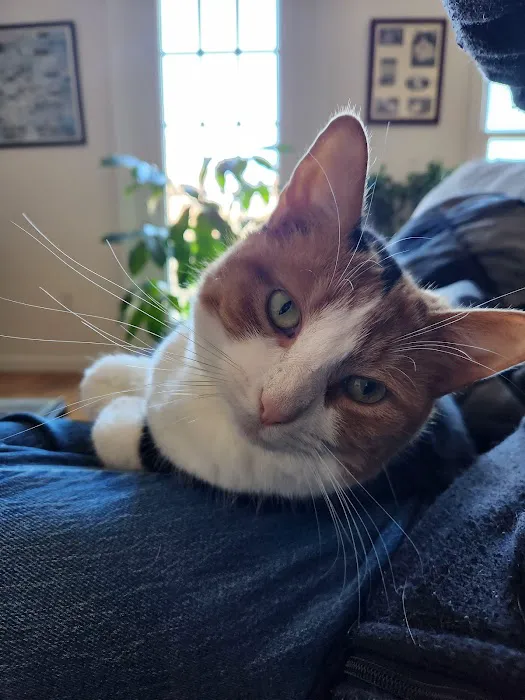 Fairfield Veterinary Hospital Picture 9