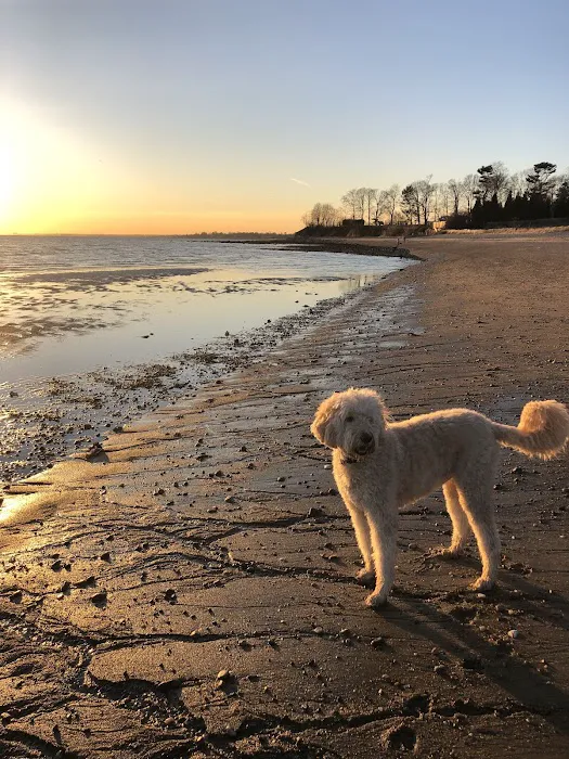 Fairfield Veterinary Hospital Picture 10