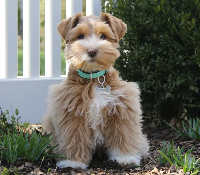 Fairfield Veterinary Hospital Picture 5