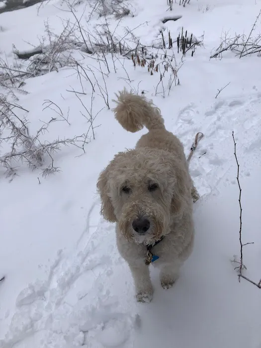 Fairfield Veterinary Hospital Picture 3