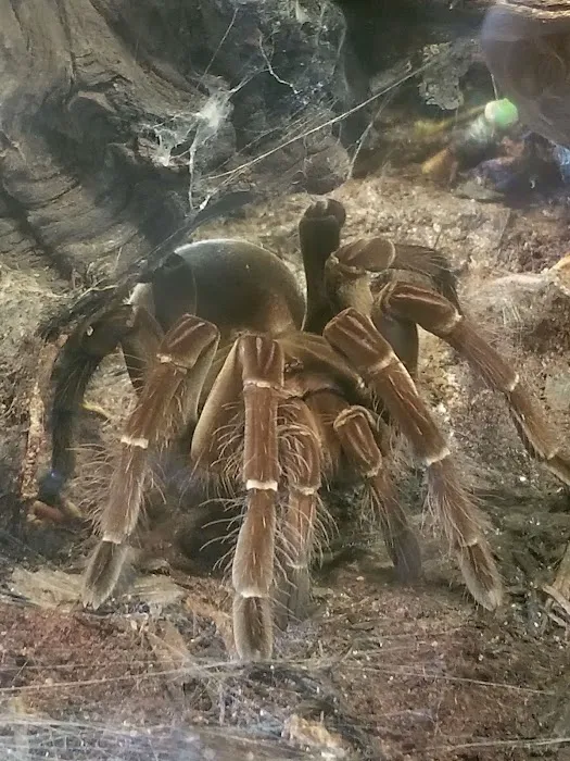 River Valley Pets Picture 1