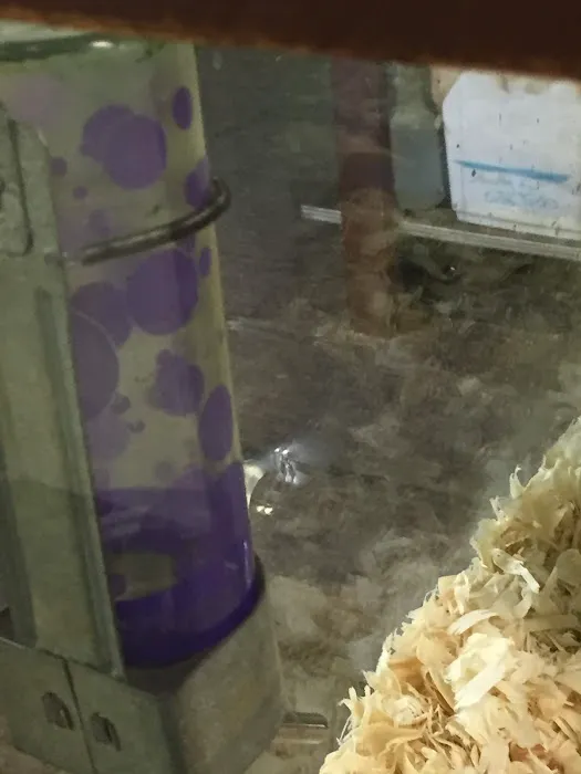 River Valley Pets Picture 6