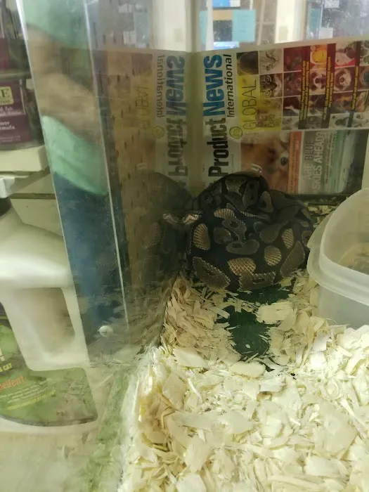 River Valley Pets Picture 9