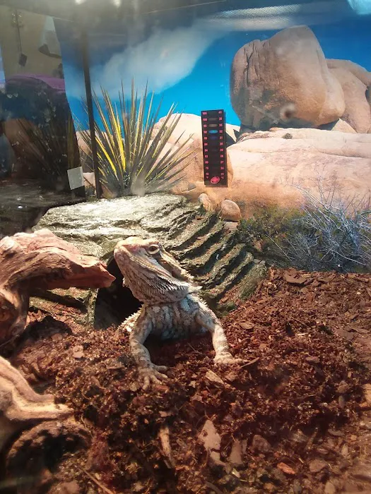 River Valley Pets Picture 5