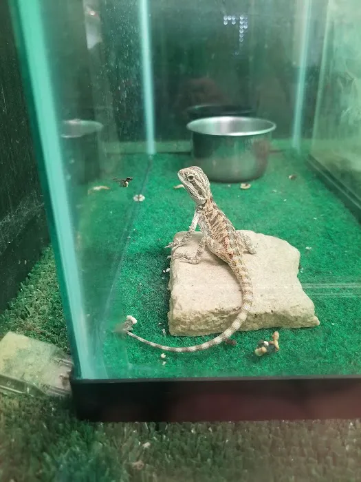 River Valley Pets Picture 4