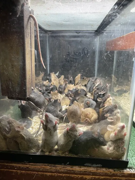 River Valley Pets Picture 10