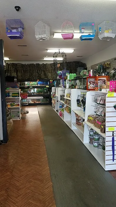 Pic-A-Pal Picture 10