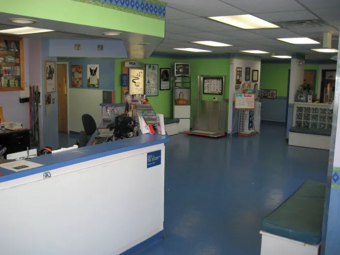 VCA Northside Animal Hospital Picture 3