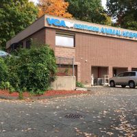VCA Northside Animal Hospital ico