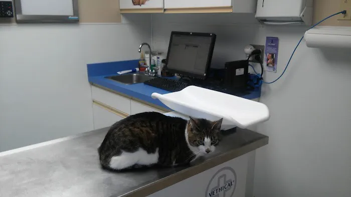VCA Northside Animal Hospital Picture 6