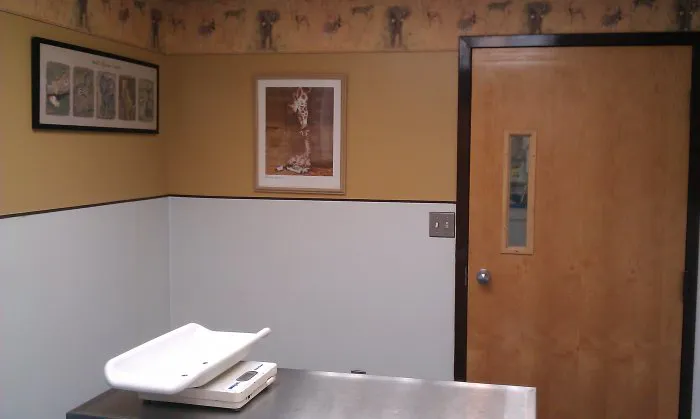 VCA Northside Animal Hospital Picture 9