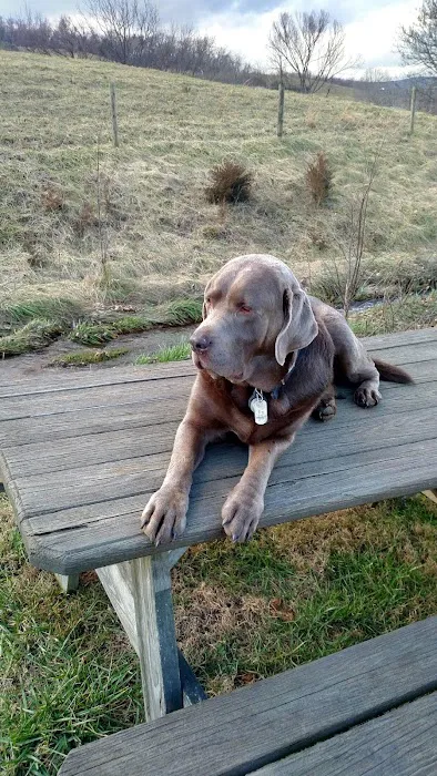 Fairchester Mobile Veterinary Services, LLC Picture 1