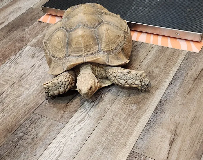 Southeast Animal Hospital Picture 4