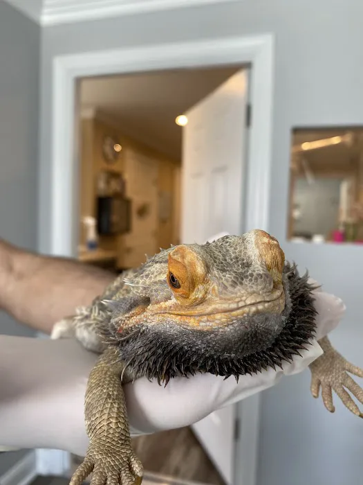 Southeast Animal Hospital Picture 1