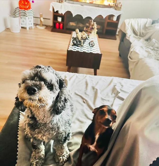 Southeast Animal Hospital Picture 3