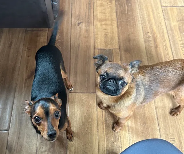 Southeast Animal Hospital Picture 5