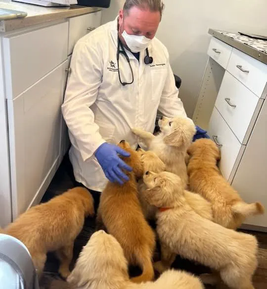 Southeast Animal Hospital Picture 6