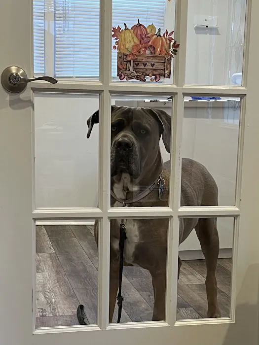 Southeast Animal Hospital Picture 9