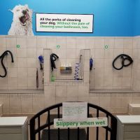 Pet Supplies Plus Fort Mill ico