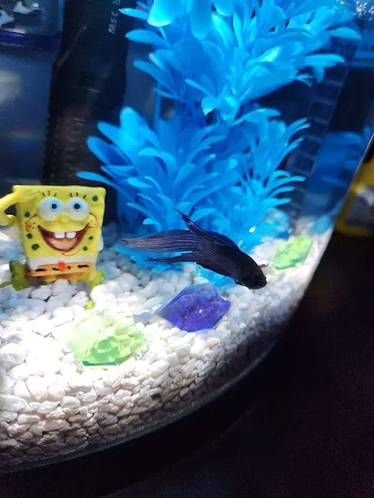 Pet Supplies Plus Fort Mill Picture 5