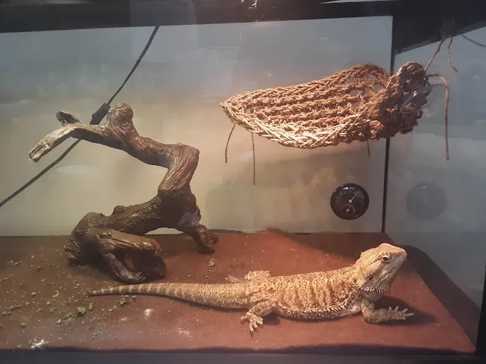 Pet Supplies Plus Fort Mill Picture 7