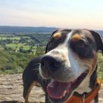 Roosevelt Veterinary Center
