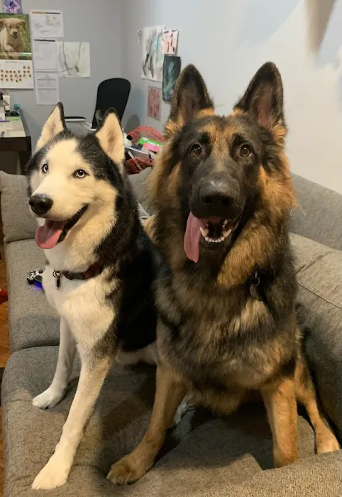 Companion Pet Hospital of Carmel Picture 5