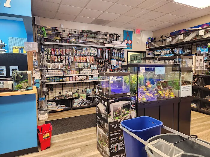 The Fish Room of Charlotte Picture 2