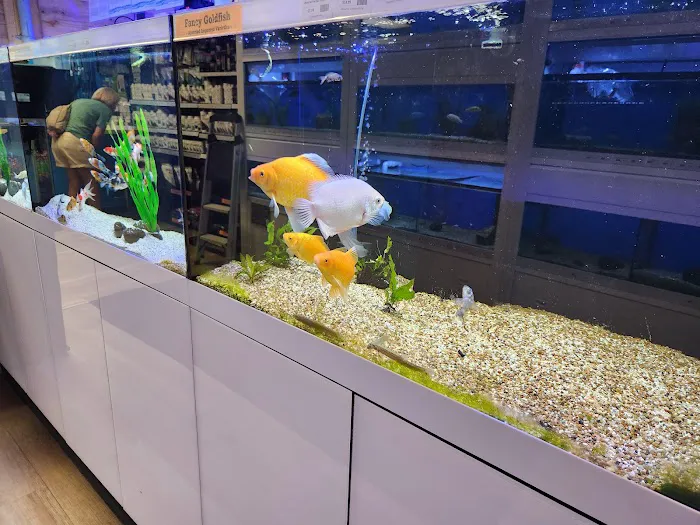 The Fish Room of Charlotte Picture 1