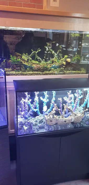 The Fish Room of Charlotte Picture 5