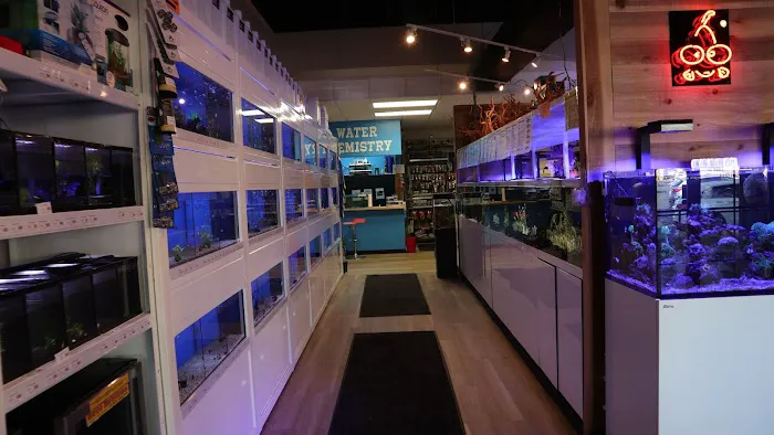 The Fish Room of Charlotte Picture 10