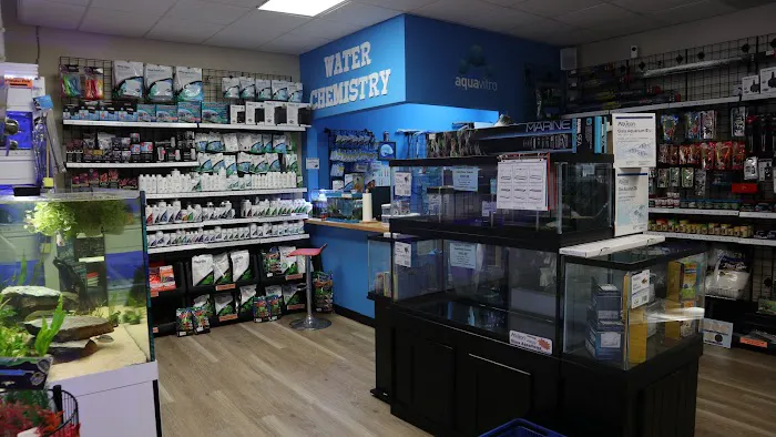 The Fish Room of Charlotte Picture 8