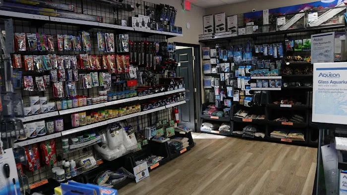 The Fish Room of Charlotte Picture 9