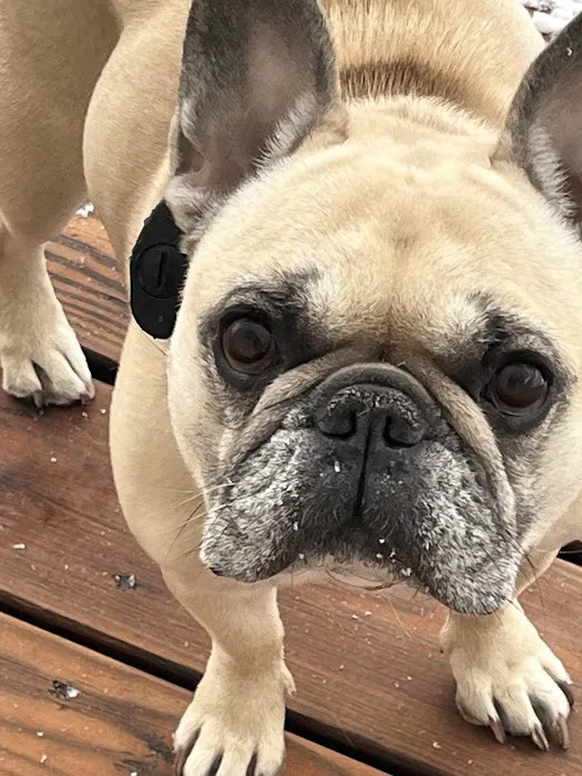 Brook Farm Veterinary Center Picture 2