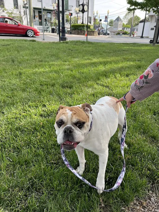 Brook Farm Veterinary Center Picture 10