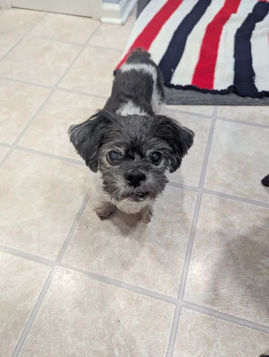 Putnam Vet Calls Picture 1