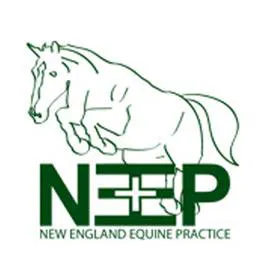 New England Equine Practice Picture 3