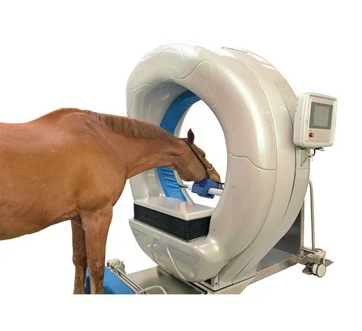 New England Equine Practice Picture 1