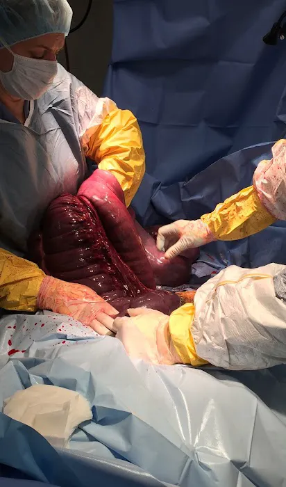 New England Equine Practice Picture 2