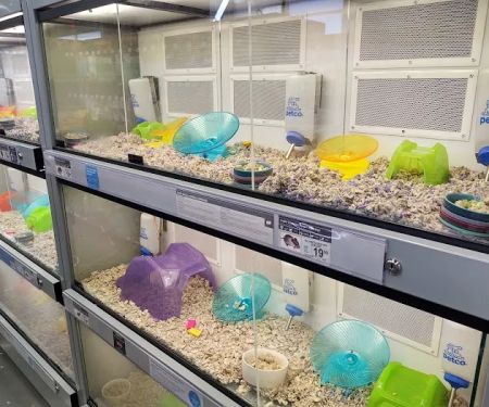 Petco
