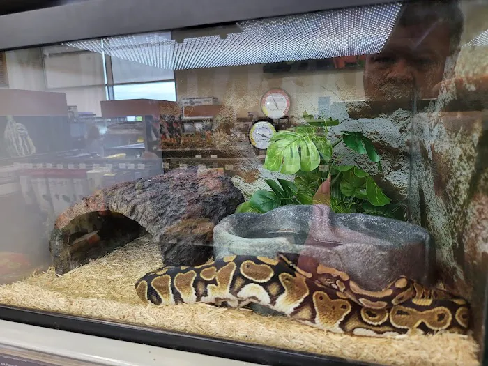 Petco Picture 9
