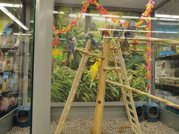 Petco Picture 3